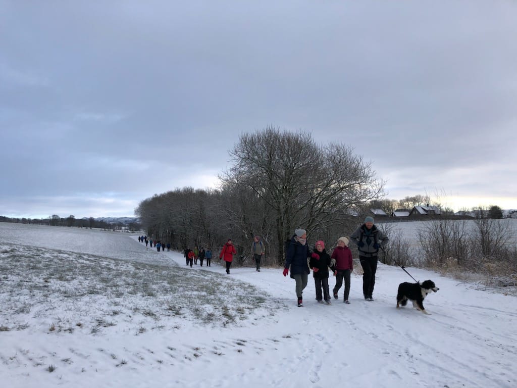 2021-01-31_inu03_liten